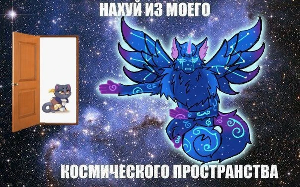 Фото покупателя