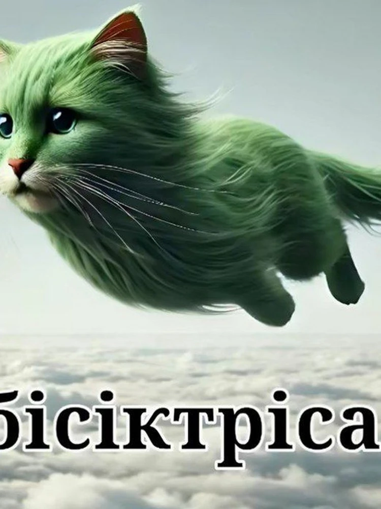 Фото покупателя