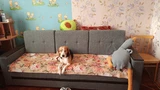 Фото из отзыва покупателя