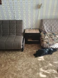 Фото из отзыва покупателя