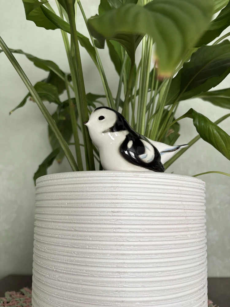 Луиза отзыв от 24.02.2026