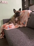 Фото из отзыва покупателя