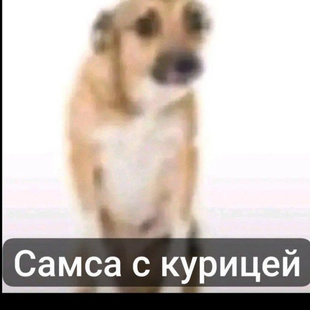 Фото покупателя
