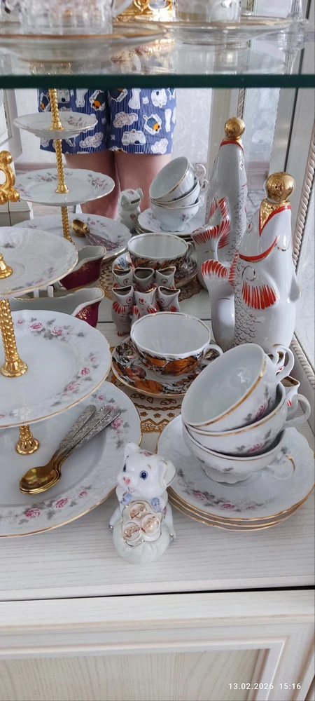 Дина отзыв от 15.02.2026